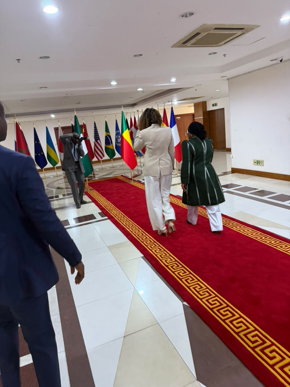 Ambassador and Minister 2